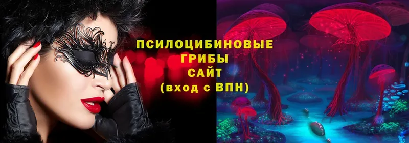 Псилоцибиновые грибы Psilocybine cubensis  Кировград 